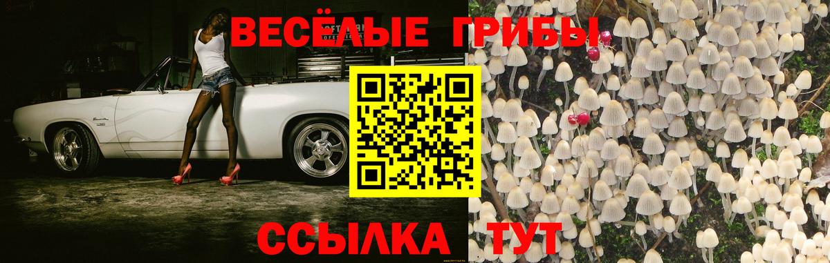 Псилоцибиновые грибы MAGIC MUSHROOMS  Вход с VPN  Шатура  Псилоцибиновые грибы Psilocybine cubensis 